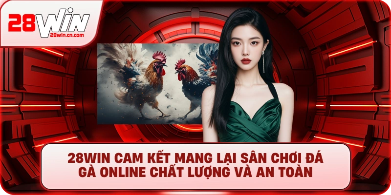 28Win cam kết mang lại sân chơi đá gà online chất lượng và an toàn
