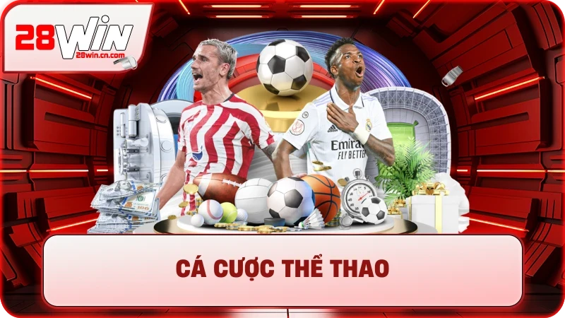 Cá Cược Thể Thao - Từ Đọc Kèo Cơ Bản Đến Soi Kèo Chuyên Gia