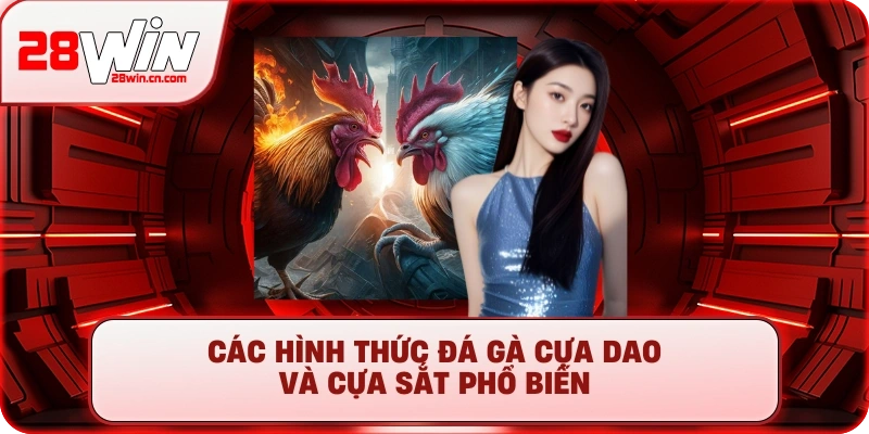 Các hình thức đá gà cựa dao và cựa sắt phổ biến