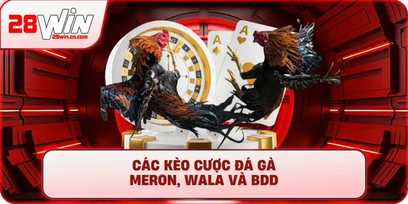 Các kèo cược đá gà Meron, Wala và BDD tại sảnh 28Win