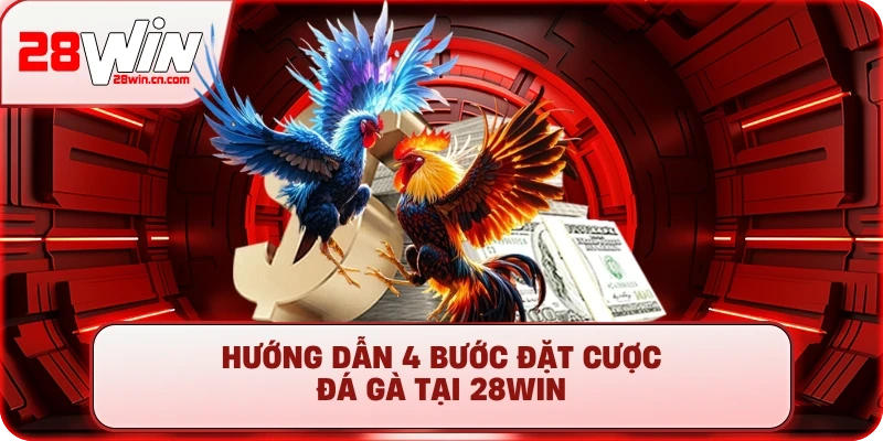 Hướng dẫn 4 bước đặt cược đá gà tại 28Win