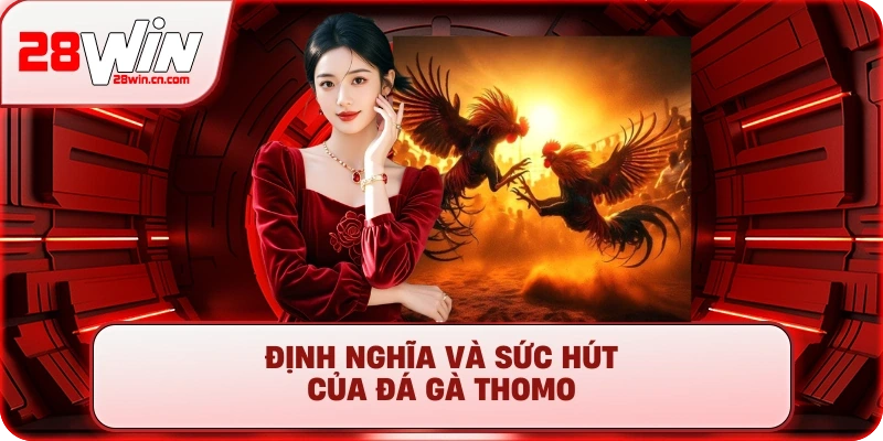 Định nghĩa và sức hút của Đá Gà Thomo