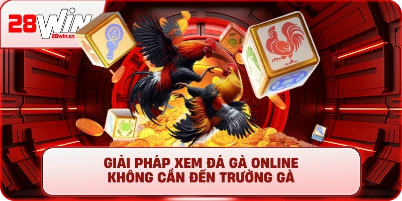 Giải pháp xem đá gà online không cần đến trường gà