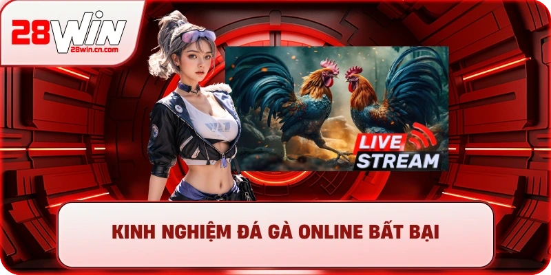 Kinh nghiệm đá gà online bất bại