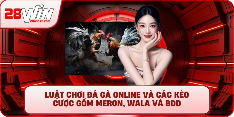Luật chơi đá gà online và các kèo cược gồm Meron, Wala và BDD