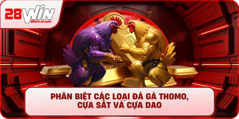 Phân biệt các loại đá gà Thomo, cựa sắt và cựa dao