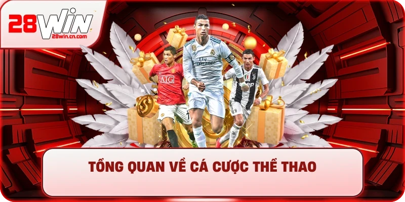 Tổng quan về cá cược thể thao